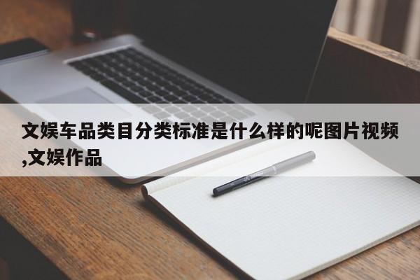 文娱车品类目分类标准是什么样的呢图片视频,文娱作品
